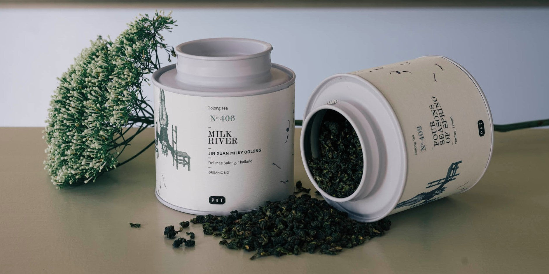 Buy Oolong Tea online Paper Tea